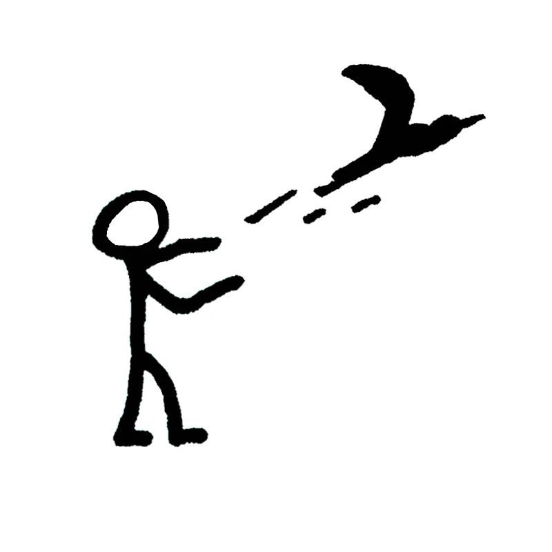 Let fly