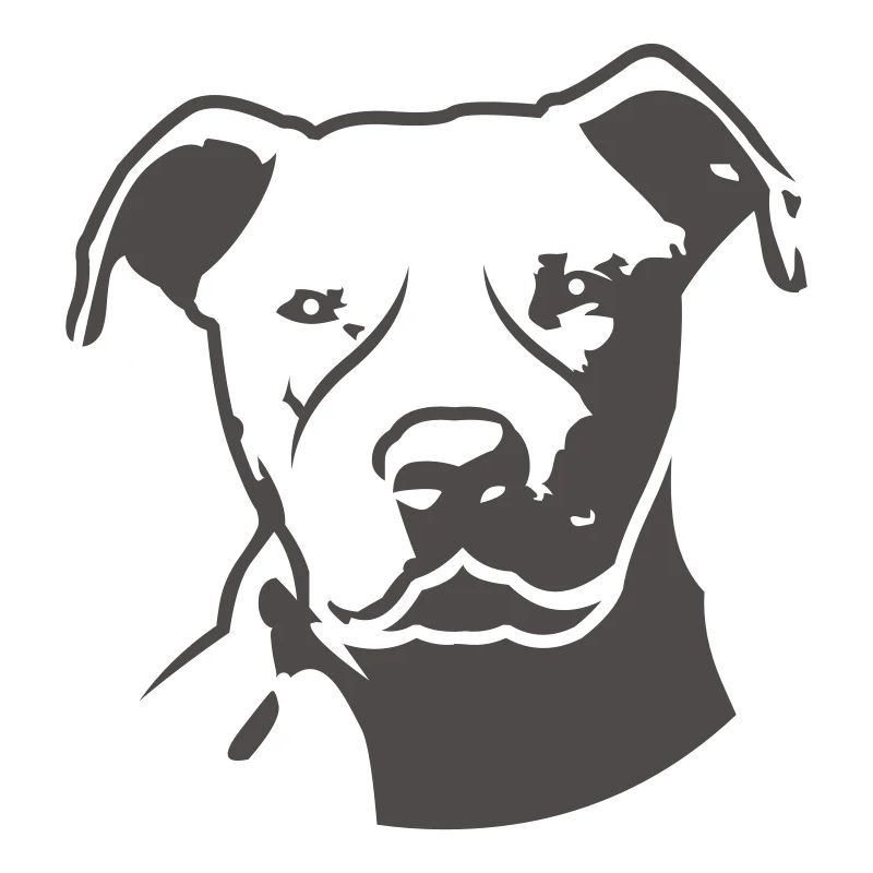 pitbull_head_front