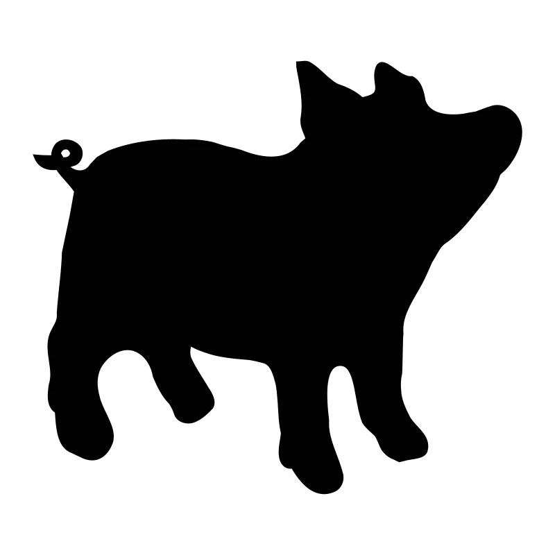 schwein