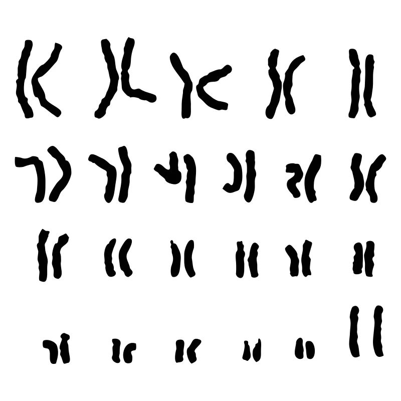 Chromosom xx Nerd-Shirt