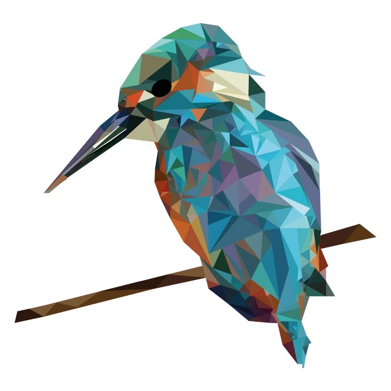 bird triangles