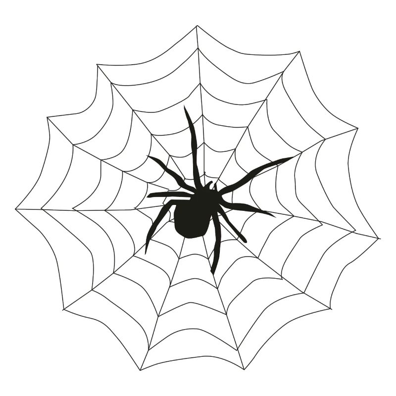 Spinne Netz