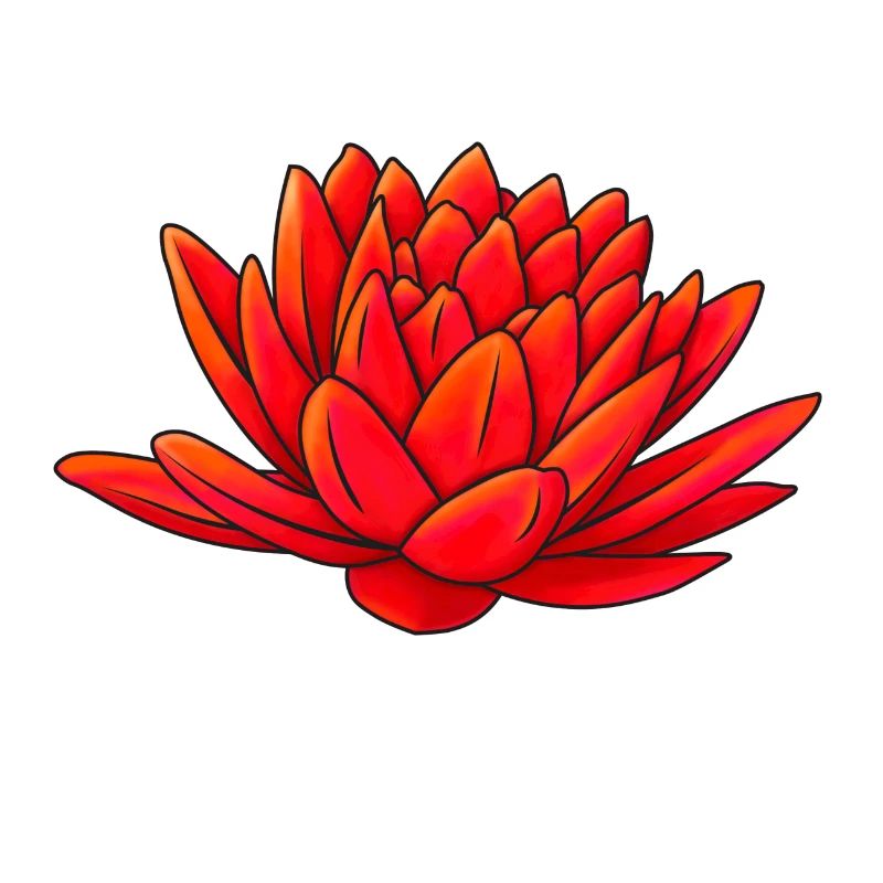 lotus