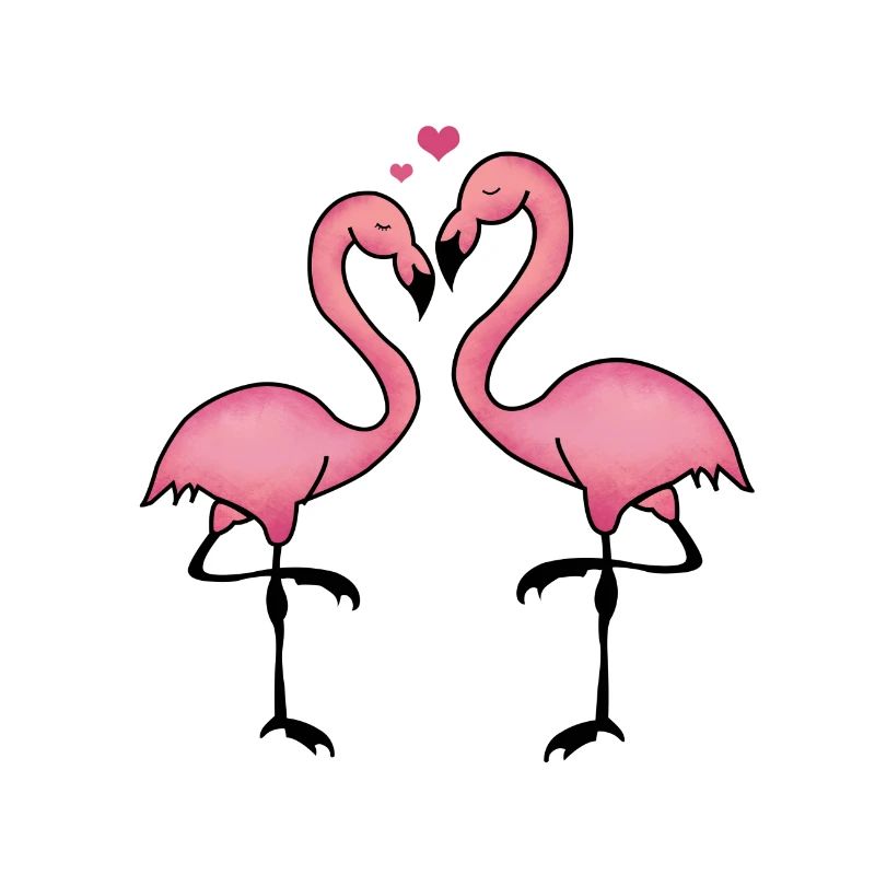 flamingos Liebe