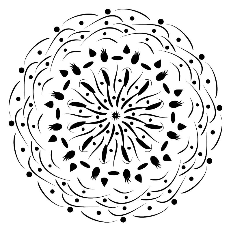 Rotating Flower in Black Pattern Gift Idea