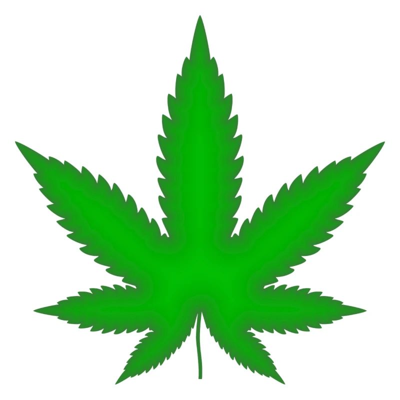 Marijuana leaf