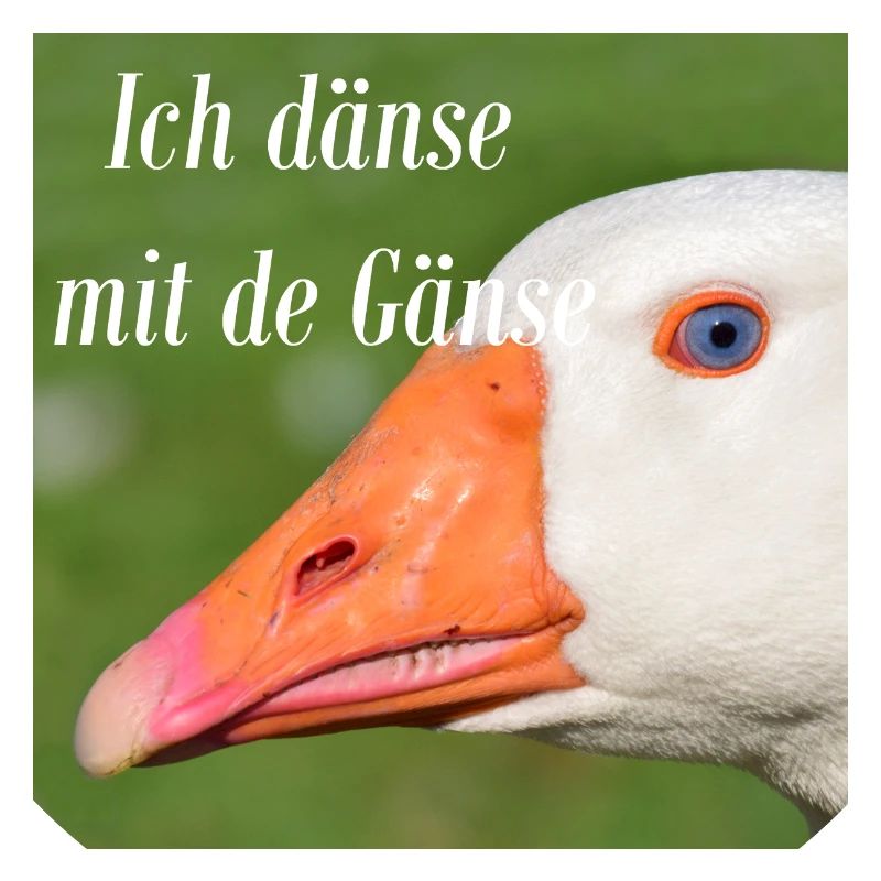 Ich dänse mit de Gänse