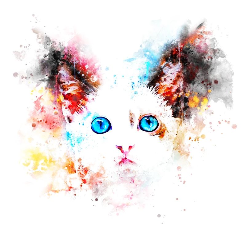 gxp chat mignon yeux bleus couleur de l'eau blobs