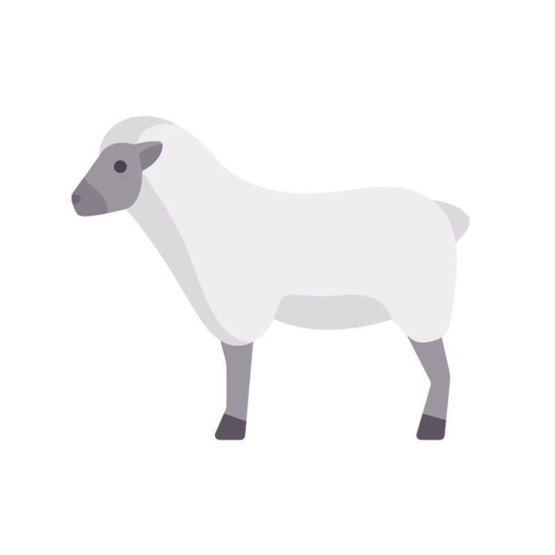 white cloud sheep