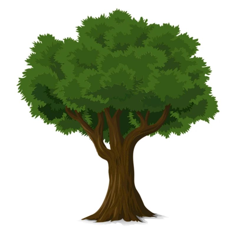 tree