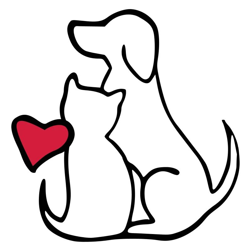 chien et chat s’aiment