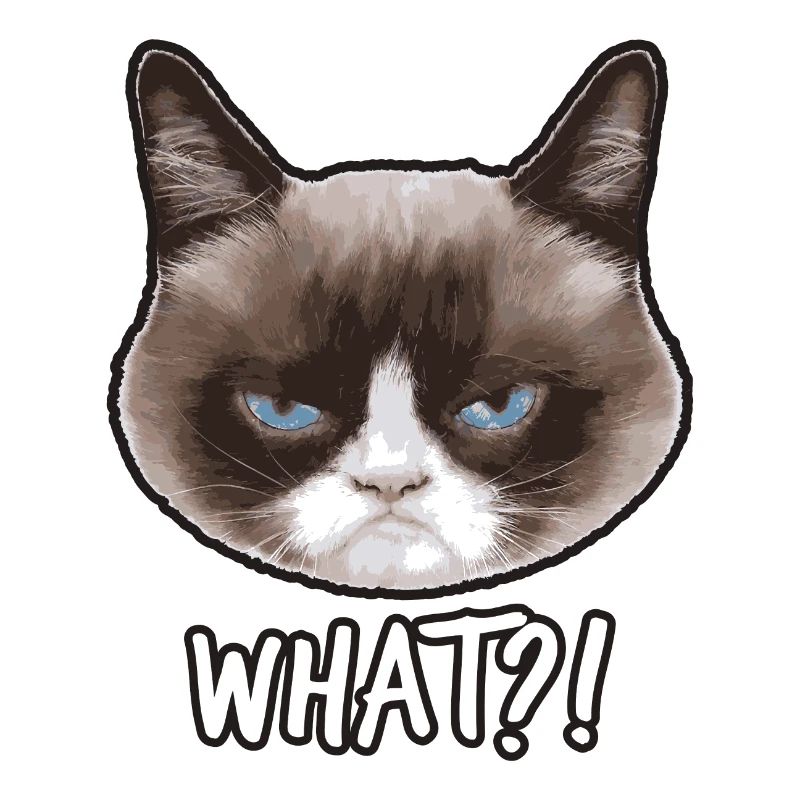 Grumpy Cat What?