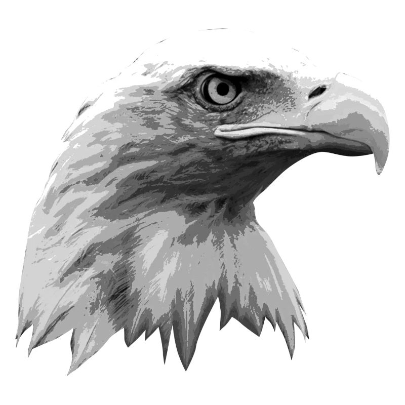 Eagle head, black and white, Eagle, Eagle