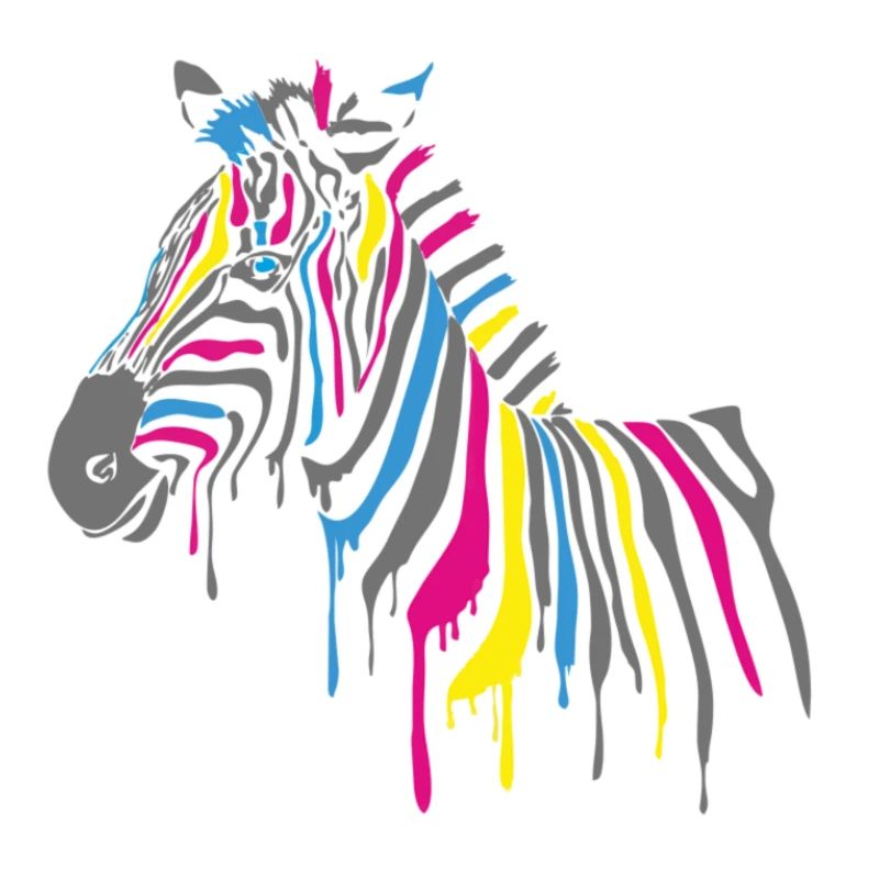 Zebra mit Farbe