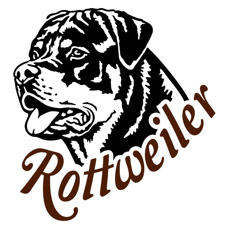 569 Rottweiler dog