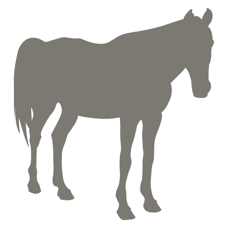 horse