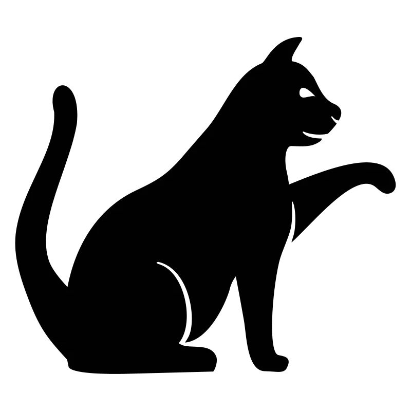 Katze
