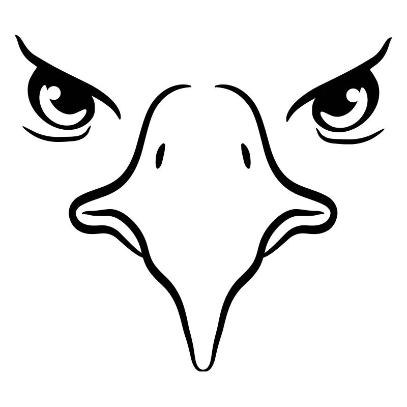 Eagle bec oiseau Eagle eyes