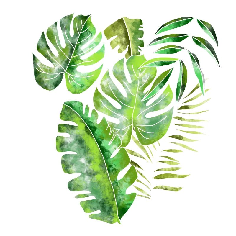 Pattern leaves palm leaves jungle