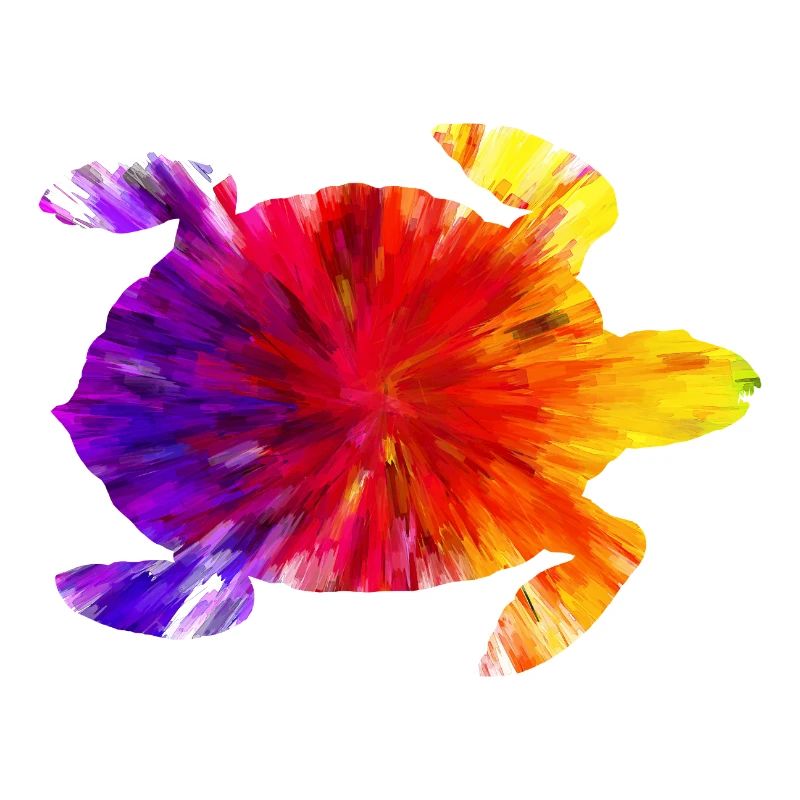 Colored turtle