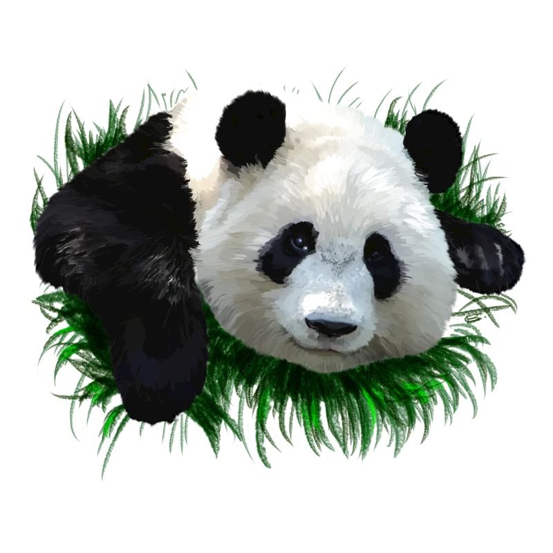 panda