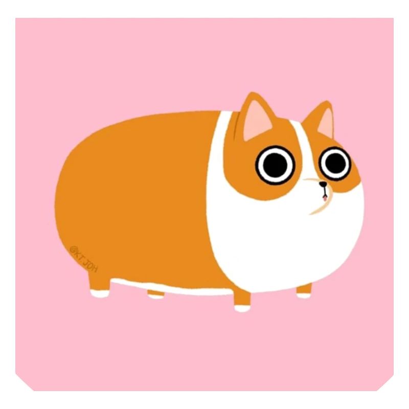 Hamster