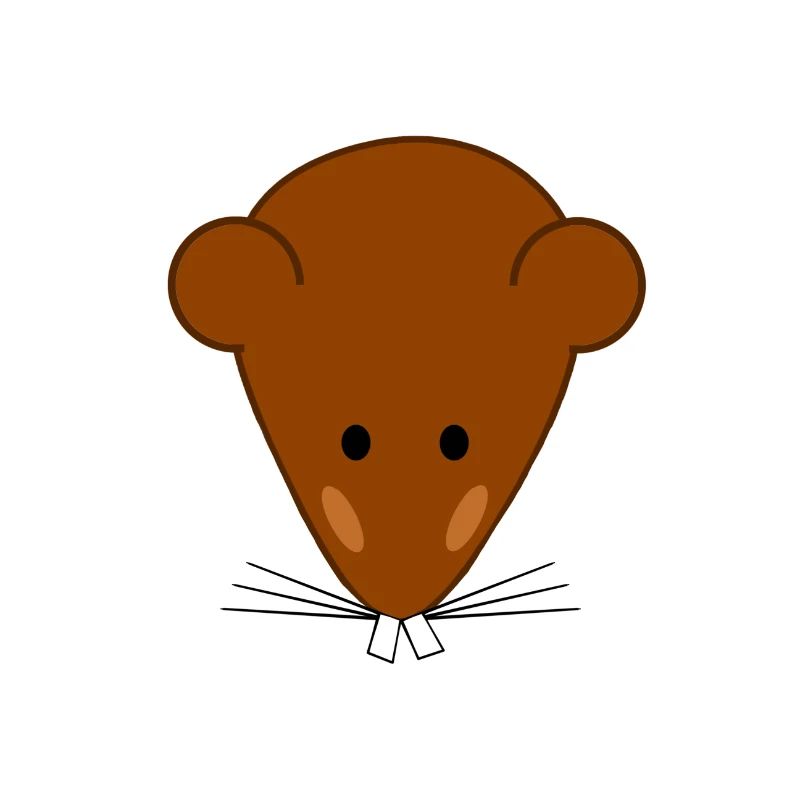 Mouse tooth
