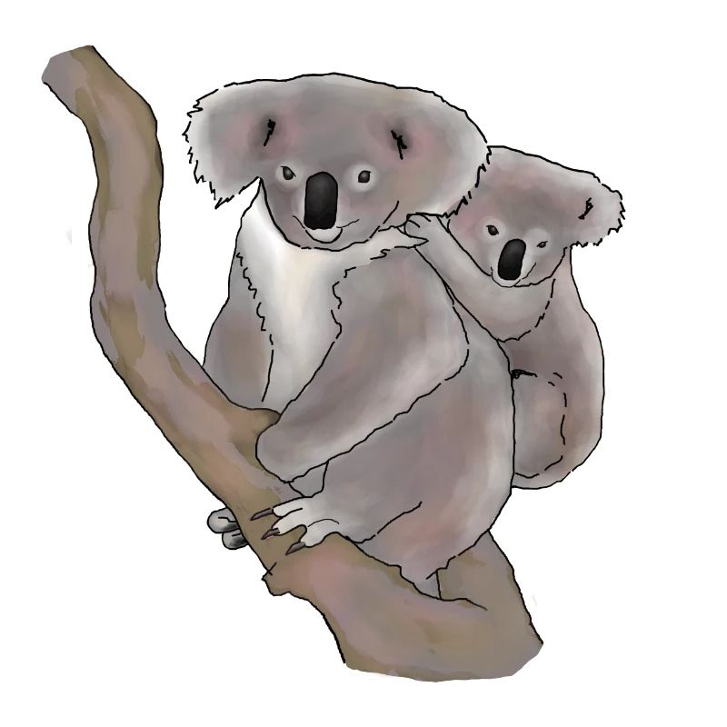 Koala, Mutter und Kind