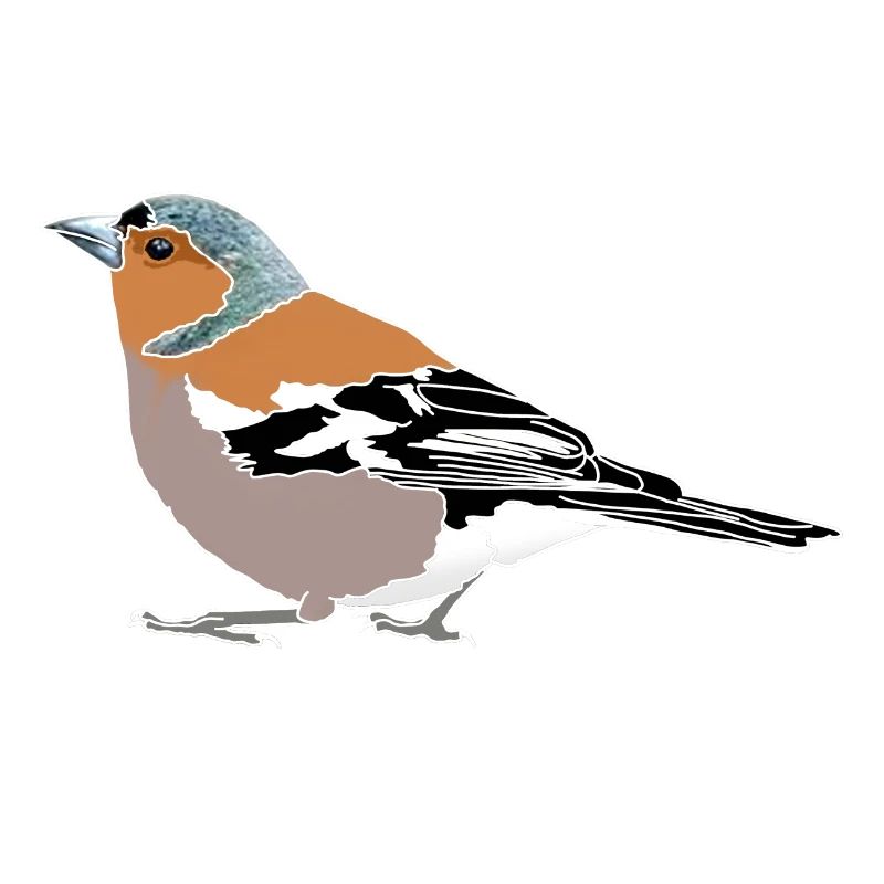Chaffinch