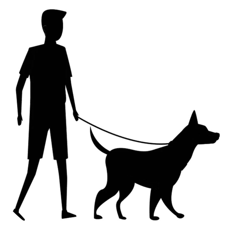 Marcher avec mon Chien Marche