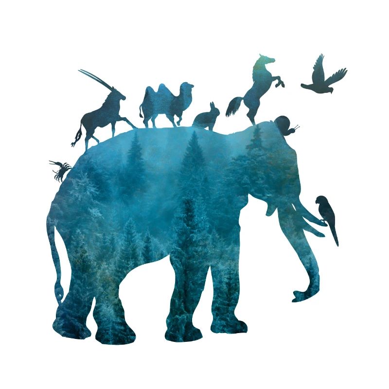 Arche avec des animaux