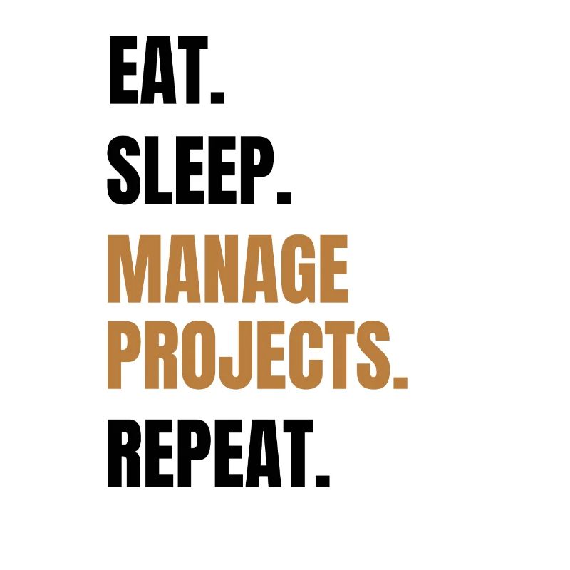 Funny project management gift project manager