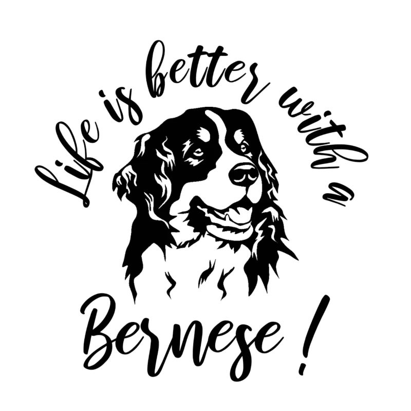 Berner Berghund