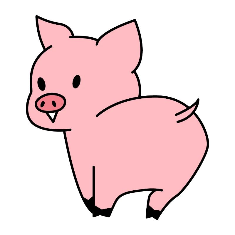Cute Pig