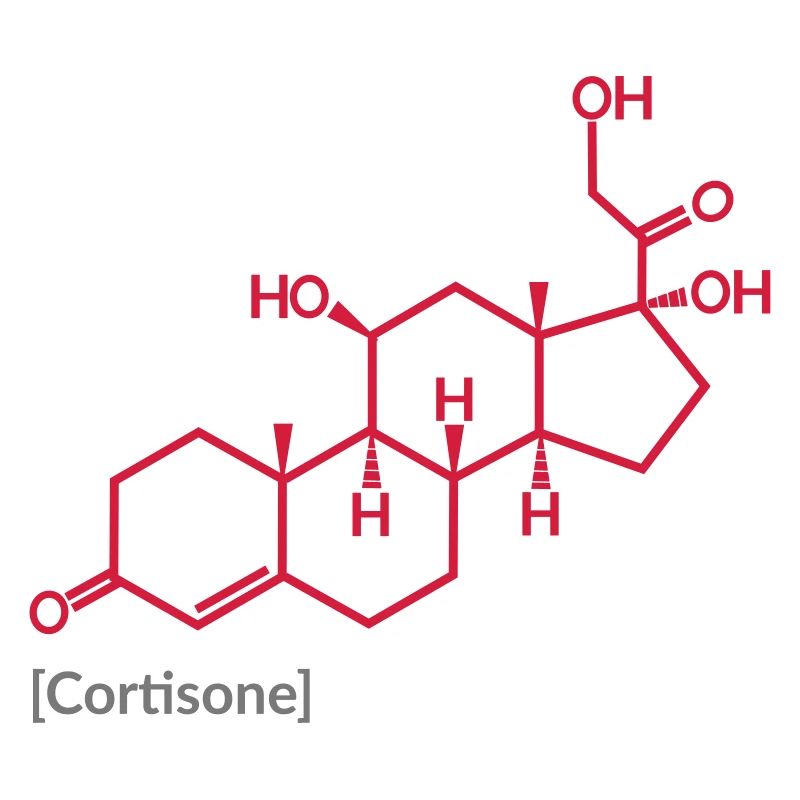 Cortison