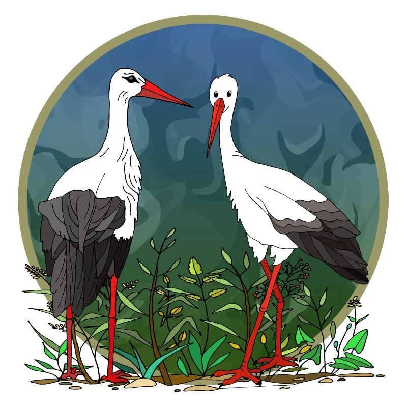 Storks