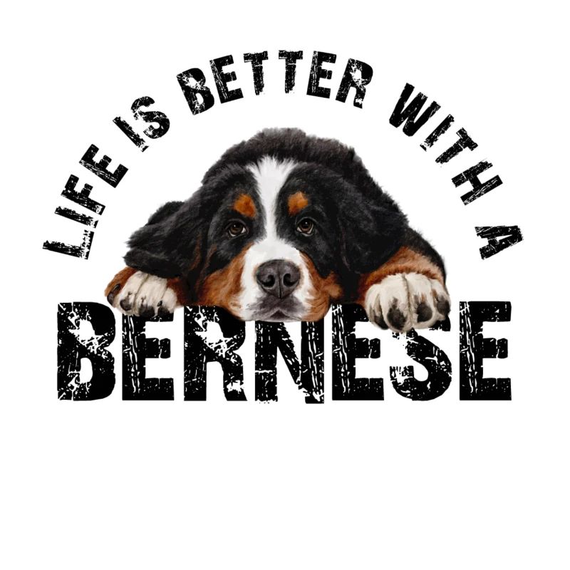 Bouvier bernois