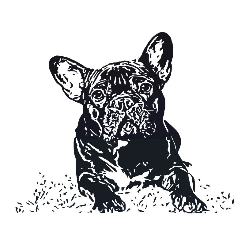 Bouledogue Français
