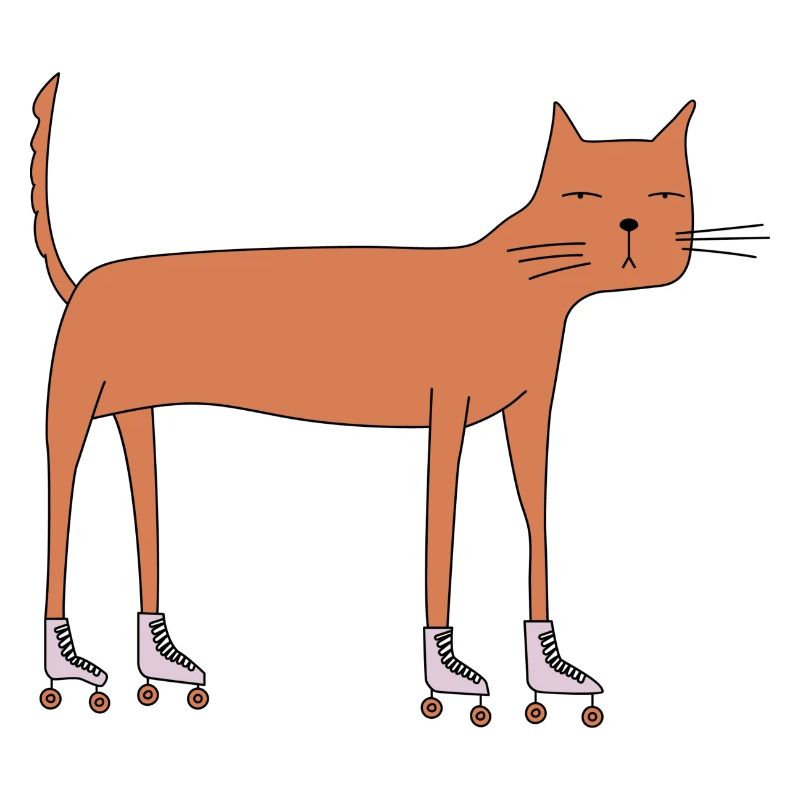 Chat sur roller quad