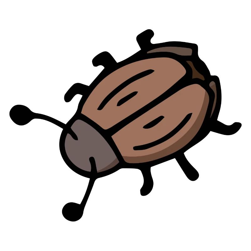 Glückskäfer Insekt Maikäfer Junikäfer