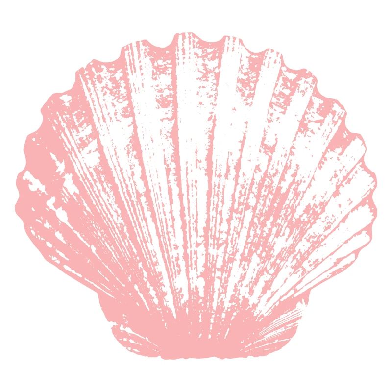 Scallop