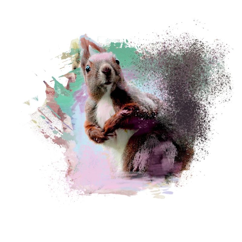 Eichhörnchen, bunt, malerei, graffiti, hörnchen,