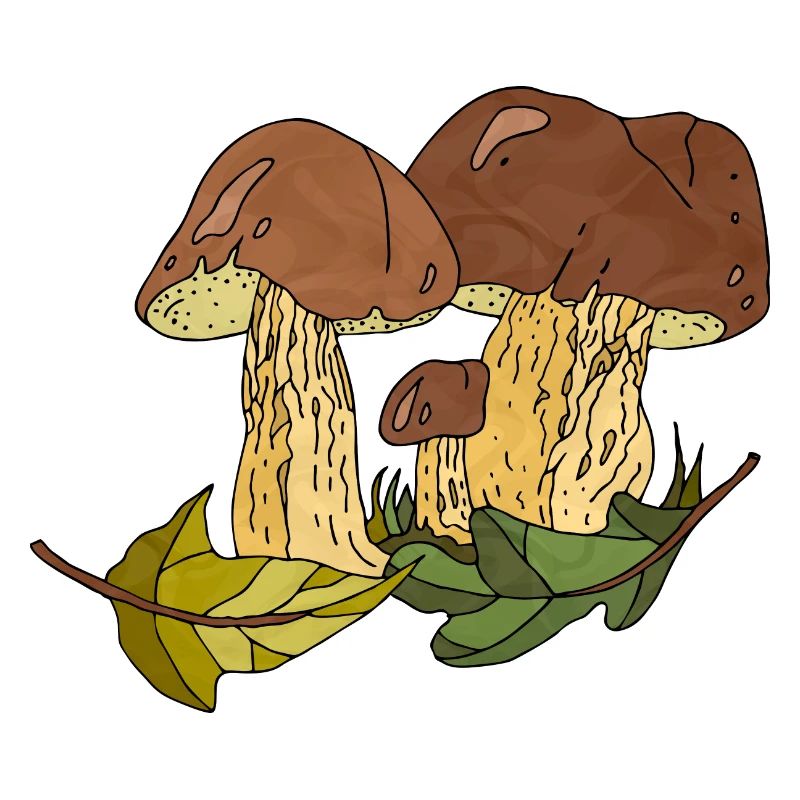 Fungi