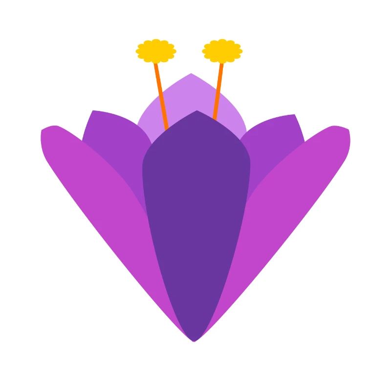 Crocus