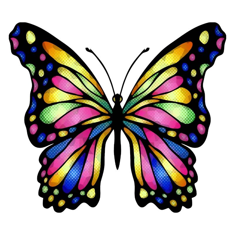 Papillon