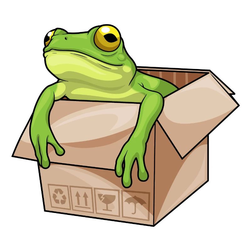 Frosch Karton