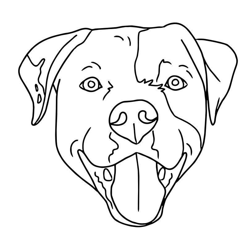chien