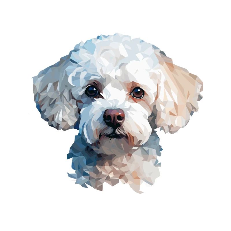 Conception de polygones caniche