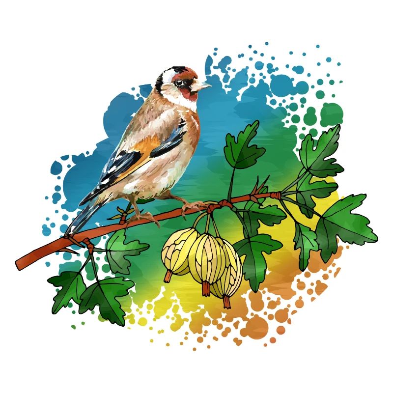 Colorful bird