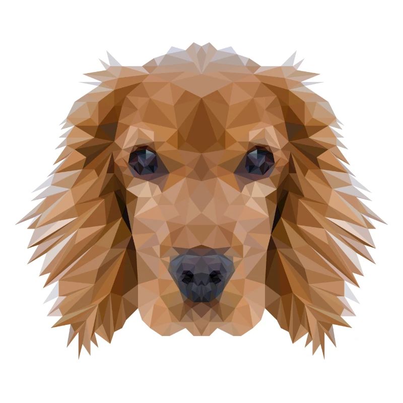Cocker Spaniel Hund Polygondesign